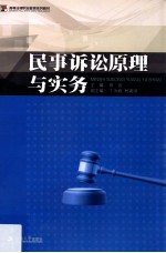 民事诉讼原理与实务