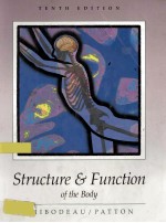 STRUCTURE & FUNCTION OF THE BODY