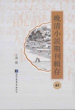 晚清小说期刊辑存  第43册