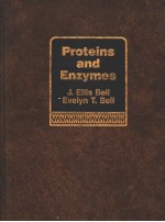 Proteins and Enzymes