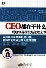 CEO都在干什么  聪明领导的职场管理艺术