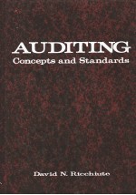 AUDITING：Concepts and Standards