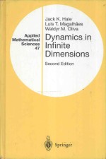 dynamics in infinite dimensions second dimensions second edition