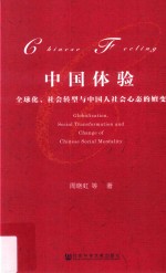 中国体验  全球化、社会转型与中国人社会心态的嬗变