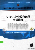 VBSE企业综合运营全景演练