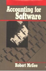 Accounting for Software