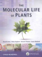 THE MOLECULAR LIFE OF PLANTS