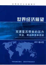 世界经济展望  双速复苏带来的压力  2011年4月