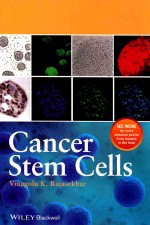 Cancer Stem Cells