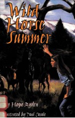 WILD HORSE SUMMER