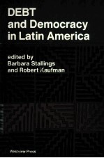 DEBT AND DEMOCRACY IN LATIN AMERICA