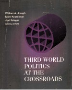 THIRD WORLD POLITICS AT THE CROSSROADS