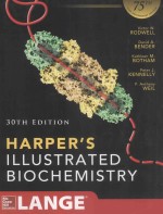 Harper's Illustrated Biochemistry THIRTIETH EDITION