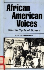 AFRICAN AMERICAN VOICES THE LIFE CYCLE OF SLAVERY