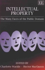 INTELLECTUAL PROPERTY  THE MANY FACES OF THE PUBLIC DOMAIN