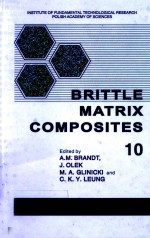 Brittle Matrix Composites 10