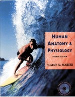 HUMAN ANATOMY & PHYSIOLOGY FOURTH EDITION