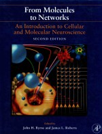 FROM MOLECULES TO NETWORKS  AN INTRODUCTION TO CELLULAR AND MOLECULAR NEUROSCIENCE  SECOND EDITION