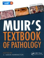 MUIR'S TEXTBOOK OF PATHOLOGY  FIFTEENTH EDITION