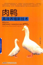 肉鸭高效养殖新技术