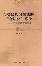 少数民族习惯法的“合法化”路径  刑法视域下的思考