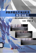 多股多层水平淹没射流新型消能工  理论与数值模拟研究及工程应用