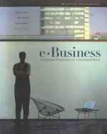 E·BUSINESS A CANADIAN PERSPECTIVE FOR A NETWORKED WORLS