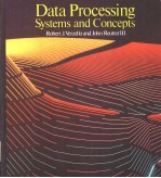 Data Processing Systems and Concepts