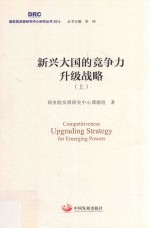 新兴大国的竞争力升级战略  上