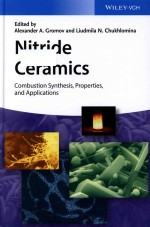 NITRIDE CERAMICS COMBUSTION SYNTHESIS