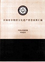 河南省非物质文化遗产普查成果汇编  平顶山市类别卷  传统医药  7