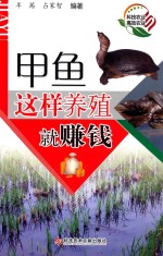 甲鱼这样养殖就赚钱