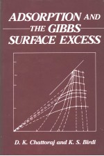 ADSORPTION AND THE GIBBS SURFACE EXCESS