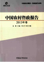 中国农村咨政报告  2013年卷