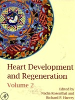 HEART DEVELOPMENT AND REGENERATION  VOLUME 2