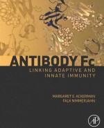 ANTIBODY FC：LINKING ADAPTIVE AND INNATE IMMUNITY