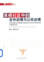 草根社区中的合作治理与公民治理