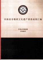 河南省非物质文化遗产普查成果汇编  平顶山市类别卷  传统医药  3