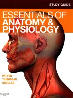 STUDY GUIDE FOR ESSENTIALS OF ANATOMY & FIRST EDITION