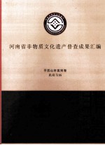 河南省非物质文化遗产普查成果汇编  平顶山市类别卷  民间习俗  5