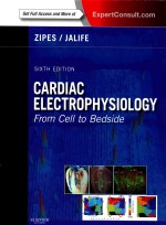 CARDIAC ELECTROPHYSIOLOGY FROM CELL TO BEDSIDE  SIXTH EDITION