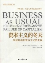 世界经济“反思与镜鉴”译丛  资本主义的冬天  经济危机和资本主义的失败
