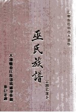 广东省梅州市大埔县  巫氏族谱  宗智公派下