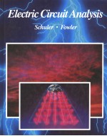 Electric Circuit Analysis