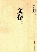 许宗元文存  上  文学卷