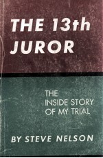 THE 13TH JUROR