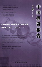 中国投资报告  2011