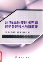 超/特高压变压器差动保护关键技术与新原理