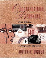 ORGANIZATIONAL BEHAVIOR:A DIAGNOSTIC APPROACH FIFTH EDITION