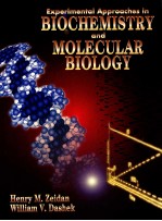 EXPERIMENTAL APPROACHES IN BIOCHEMISTRY AND MOLECULAR BIOLOGY